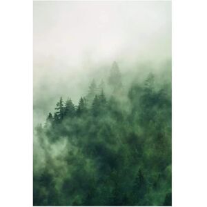 KOMAR Naturlandschaft Baumkronen Poster - Poster KOMAR Naturlandschaft Baumkronen Poster - Poster