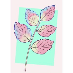 KOMAR Disney Cinderella Plant Poster - Bunt, 50x70cm, Kinder/Schlafzimmer KOMAR Disney Cinderella Plant Poster - Bunt, 50x70cm, Kinder/Schlafzimmer