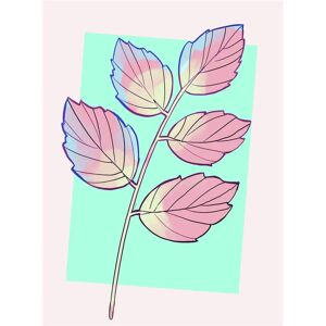 KOMAR Cinderella Plant Disney Poster - Bunt, 40x50cm KOMAR Cinderella Plant Disney Poster - Bunt, 40x50cm