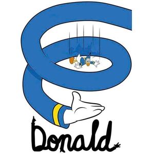 KOMAR Donald Duck Spiral Poster - 50x70cm - Kinder & Wohnzimmer Dekor KOMAR Donald Duck Spiral Poster - 50x70cm - Kinder & Wohnzimmer Dekor