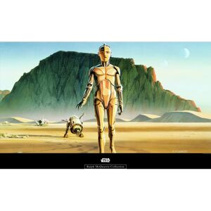 KOMAR Star Wars RMQ Droids Poster - Indoor Kunst KOMAR Star Wars RMQ Droids Poster - Indoor Kunst
