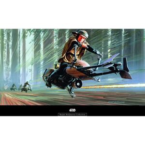 KOMAR Endor Speeder - Star Wars Bunt Poster KOMAR Endor Speeder - Star Wars Bunt Poster
