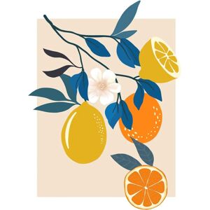 KOMAR - Illustration Finest Fruits - 30x40 cm - Wandkunst KOMAR - Illustration Finest Fruits - 30x40 cm - Wandkunst
