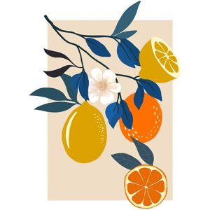 Arte de pared KOMAR Frutas Finas - 50x70 cm Arte de pared KOMAR Frutas Finas - 50x70 cm