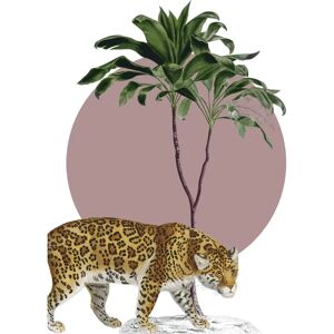 KOMAR - Botanical Garden Jaguar - 30x40 cm - rosa - Wandbild KOMAR - Botanical Garden Jaguar - 30x40 cm - rosa - Wandbild