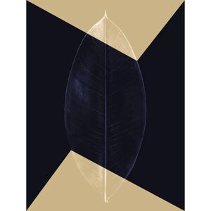 KOMAR - Lotus Theatre - blau - 30x40 cm - Wandbild KOMAR - Lotus Theatre - blau - 30x40 cm - Wandbild