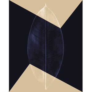 KOMAR - Lotus Theatre - Blau - 40x50 cm - Poster KOMAR - Lotus Theatre - Blau - 40x50 cm - Poster