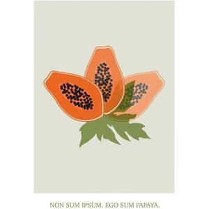 KOMAR Oranges Wandbild KOMAR Oranges Wandbild