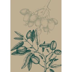 KOMAR - Wild Mandolino - 30x40 cm - beige - Wandbild KOMAR - Wild Mandolino - 30x40 cm - beige - Wandbild