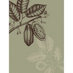 KOMAR - Wild Cocoa - Grün - 30x40 cm - Wall Art KOMAR - Wild Cocoa - Grün - 30x40 cm - Wall Art