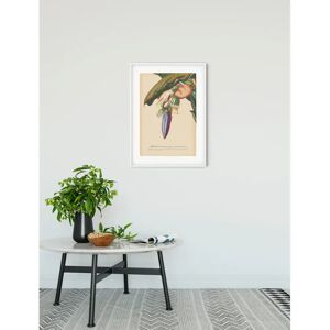 KOMAR - Banana Heart - 30 cm x 40 cm - bunt - Poster KOMAR - Banana Heart - 30 cm x 40 cm - bunt - Poster