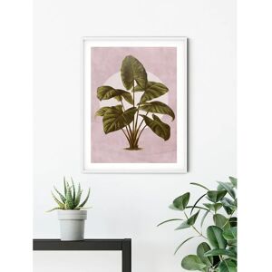 KOMAR Bunte Kunst-Poster - Kreatur Pflanzen - 50x70cm KOMAR Bunte Kunst-Poster - Kreatur Pflanzen - 50x70cm