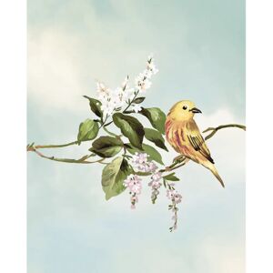 KOMAR - Gazouillis des Oiseaux - 40x50 cm - multicolor - poster KOMAR - Gazouillis des Oiseaux - 40x50 cm - multicolor - poster