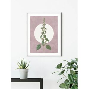 KOMAR Menthe en Croissance Poster - Bright, German, 50x70cm KOMAR Menthe en Croissance Poster - Bright, German, 50x70cm