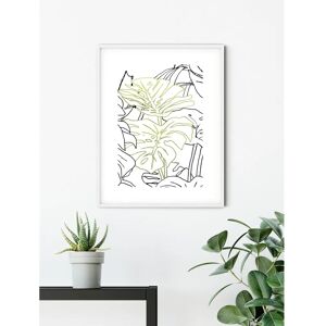 KOMAR - Monstera Borsigiana - 40x50 cm - grün - Poster KOMAR - Monstera Borsigiana - 40x50 cm - grün - Poster