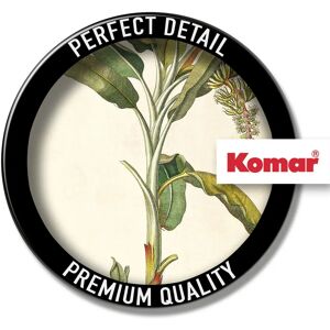 KOMAR - Rainforest Sapling - Grün - 30x40 cm - Poster KOMAR - Rainforest Sapling - Grün - 30x40 cm - Poster