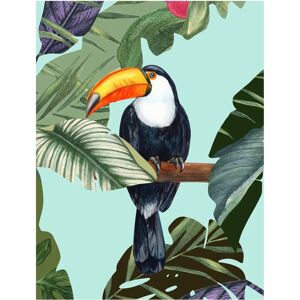 KOMAR - Toco Toucan - Bunt - 40x50 cm - Poster KOMAR - Toco Toucan - Bunt - 40x50 cm - Poster