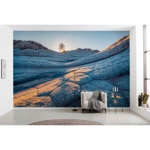 KOMAR Elephant Skin Tapete - 400x250cm - Natürliches Design KOMAR Elephant Skin Tapete - 400x250cm - Natürliches Design