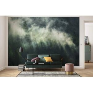 KOMAR Grüne Misty Crowns Vliestapete - 350x250cm KOMAR Grüne Misty Crowns Vliestapete - 350x250cm