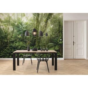 KOMAR Green Nature Wall Paper - 350x250 cm - Wall Paper KOMAR Green Nature Wall Paper - 350x250 cm - Wall Paper