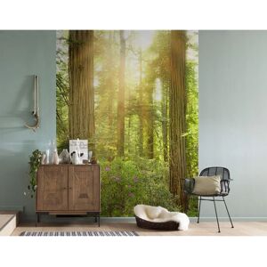Papel pintado panorámico KOMAR Redwood - 200x260cm - Papel de pared Papel pintado panorámico KOMAR Redwood - 200x260cm - Papel de pared