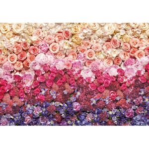 KOMAR Hochwertige Bunte Vliestapete - 400x260cm - Natürlicher Look KOMAR Hochwertige Bunte Vliestapete - 400x260cm - Natürlicher Look