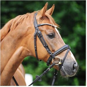 KAVALKADE Vegane Kork-Longen - Riendas de caballo KAVALKADE Vegane Kork-Longen - Riendas de caballo
