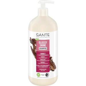 Sante Birch Shine Shampoo - Shampoo Sante Birch Shine Shampoo - Shampoo