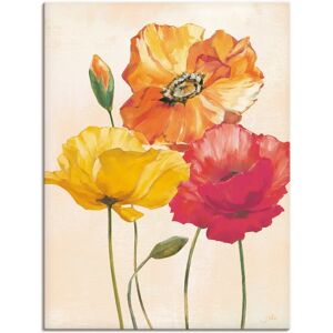 ARTLAND Bunte Mohnblumen I 60x80cm Wandbild ARTLAND Bunte Mohnblumen I 60x80cm Wandbild