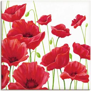 ARTLAND - Rote Mohnblumen I - Rot - 40x40 cm - Wandbild ARTLAND - Rote Mohnblumen I - Rot - 40x40 cm - Wandbild