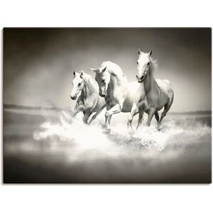 ARTLAND - Herde von weißen Pferden - 40x30 cm ARTLAND - Herde von weißen Pferden - 40x30 cm