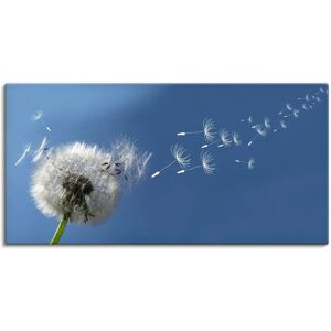 ARTLAND Pusteblume Wandbild - 100x50cm, Blau, Leinwand & Alu ARTLAND Pusteblume Wandbild - 100x50cm, Blau, Leinwand & Alu