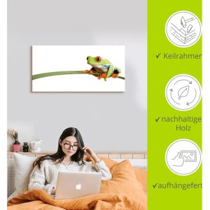 ARTLAND Frosch auf einem Blatt Wandbild - Kunsttyp ARTLAND Frosch auf einem Blatt Wandbild - Kunsttyp