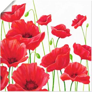 ARTLAND - Rote Mohnblumen I - Rot - 50 cm x 50 cm - Canvas ARTLAND - Rote Mohnblumen I - Rot - 50 cm x 50 cm - Canvas