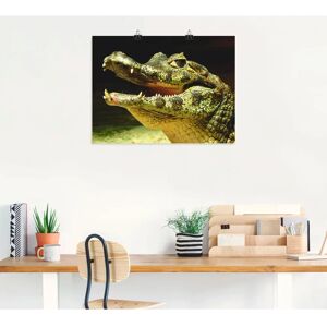ARTLAND - Ein lächelndes Krokodil - Grün - 40x30 cm - Wandbild ARTLAND - Ein lächelndes Krokodil - Grün - 40x30 cm - Wandbild