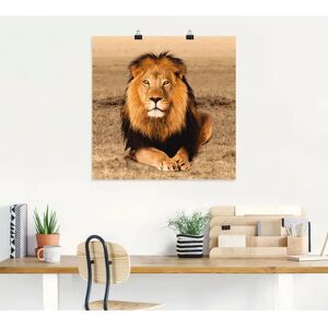 ARTLAND - Löwe - 50x50 cm - Alu-Dibond - Wandbild ARTLAND - Löwe - 50x50 cm - Alu-Dibond - Wandbild