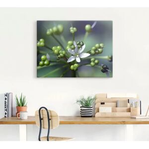 ARTLAND Bärlauchblüte Leinwandbild - Wanddekoration ARTLAND Bärlauchblüte Leinwandbild - Wanddekoration