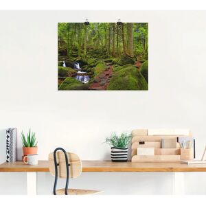 ARTLAND - Zauberwald - Grün - 60 x 45 cm - Wandbild ARTLAND - Zauberwald - Grün - 60 x 45 cm - Wandbild