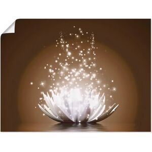 ARTLAND - Magie der Lotus-Blume - Braun - Wandbild ARTLAND - Magie der Lotus-Blume - Braun - Wandbild