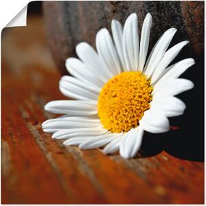 ARTLAND - Margeriten Stillleben - 30x30 cm - Wall art ARTLAND - Margeriten Stillleben - 30x30 cm - Wall art
