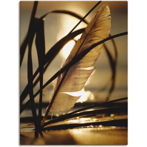ARTLAND Feder im Abendlicht Leinwand Wandkunst - Wandbild ARTLAND Feder im Abendlicht Leinwand Wandkunst - Wandbild