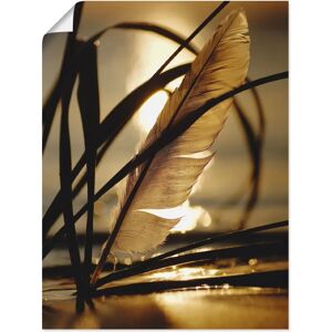 ARTLAND - Feder im Abendlicht - 30x40 cm - gold - Canvas print ARTLAND - Feder im Abendlicht - 30x40 cm - gold - Canvas print