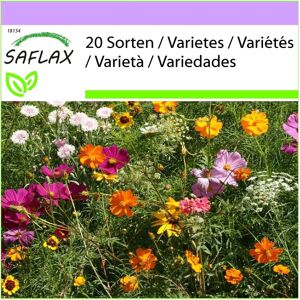 Mélange de fleurs sauvages Saflax - 1000 graines pour fleurs coupées durables - Jardin & Pots - Publicité Mélange de fleurs sauvages Saflax - 1000 graines pour fleurs coupées durables - Jardin & Pots - Publicité