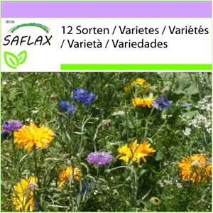 Saflax - Mélange de fleurs comestibles - 1000 graines - Mélange de fleurs sauvages - Publicité Saflax - Mélange de fleurs comestibles - 1000 graines - Mélange de fleurs sauvages - Publicité