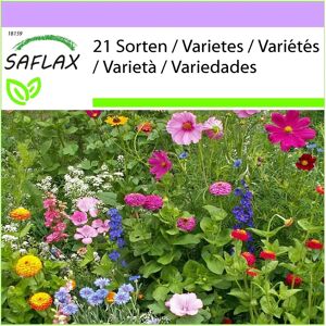 SAFLAX - Cottage Garden - 1000 graines - Mélange de fleurs sauvages - Publicité SAFLAX - Cottage Garden - 1000 graines - Mélange de fleurs sauvages - Publicité