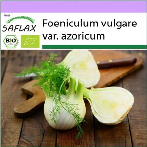 Saflax - Fenouil doux de Florence - Biologique - 100 graines - Graines de fenouil - Publicité Saflax - Fenouil doux de Florence - Biologique - 100 graines - Graines de fenouil - Publicité