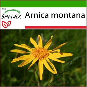 Saflax - Arnica des Montagnes - 40 Graines - Plante Herbacée - Publicité Saflax - Arnica des Montagnes - 40 Graines - Plante Herbacée - Publicité