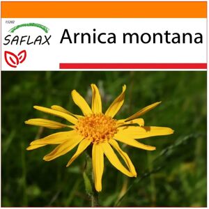 Saflax - Jardin dans le sac - Arnica de montagne - 40 graines - Sac de culture autoportant - Graine d’herbes - Publicité Saflax - Jardin dans le sac - Arnica de montagne - 40 graines - Sac de culture autoportant - Graine d’herbes - Publicité