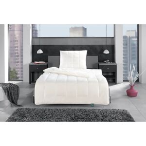 FAN FRANKENSTOLZ Modell Vierjahreszeitensteppbett - Bett FAN FRANKENSTOLZ Modell Vierjahreszeitensteppbett - Bett