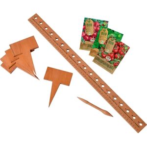 Dobar Pflanzen-Starter-Set - Bio-Samen & Buchenholz Dobar Pflanzen-Starter-Set - Bio-Samen & Buchenholz